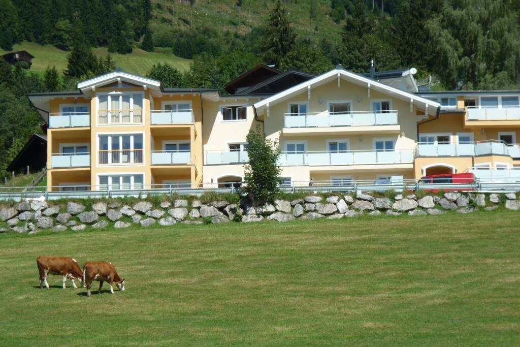 Apartment Hohe Tauern Piesendorf Exteriér fotografie